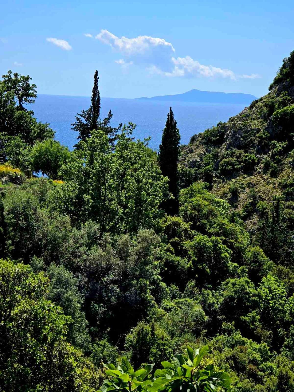 Philoxenia Guest * Himare